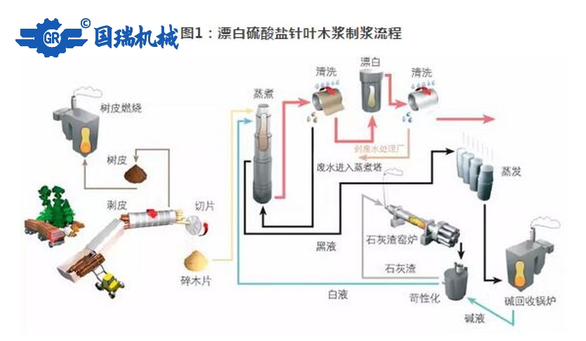 國(guó)瑞機(jī)械：紙漿的生產(chǎn)流程和應(yīng)用